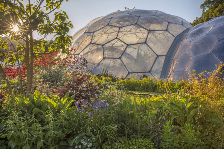 clive nichols may 2025 eden project biomes 1 768x512