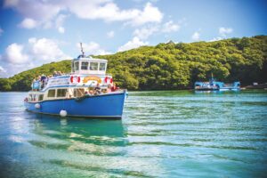 2018 Enterprise Boats Trelissick RW 300x200