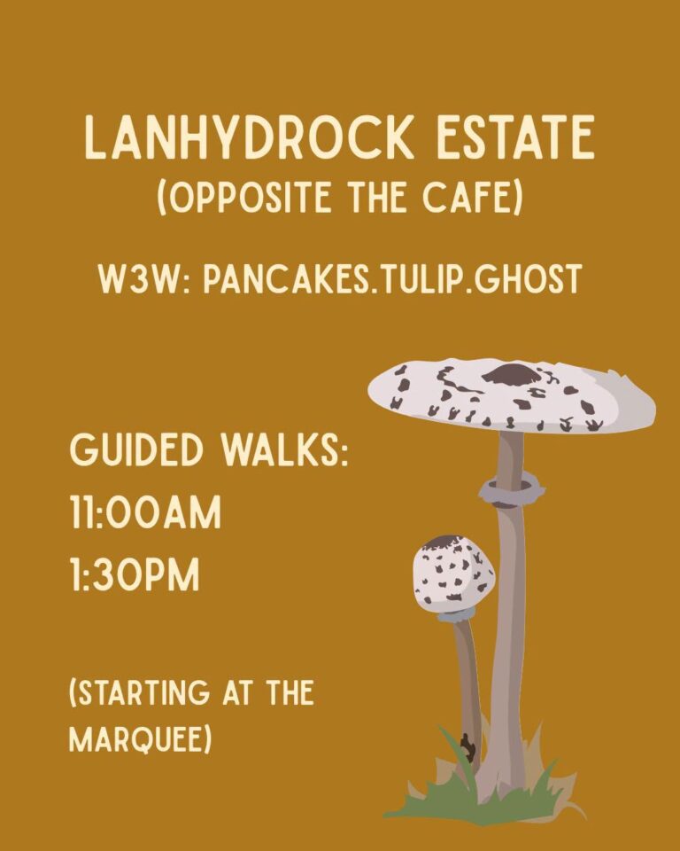 Fungus day at Lanhydrock