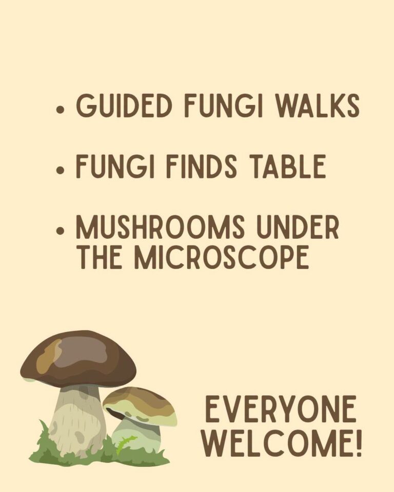 Fungus day at Lanhydrock