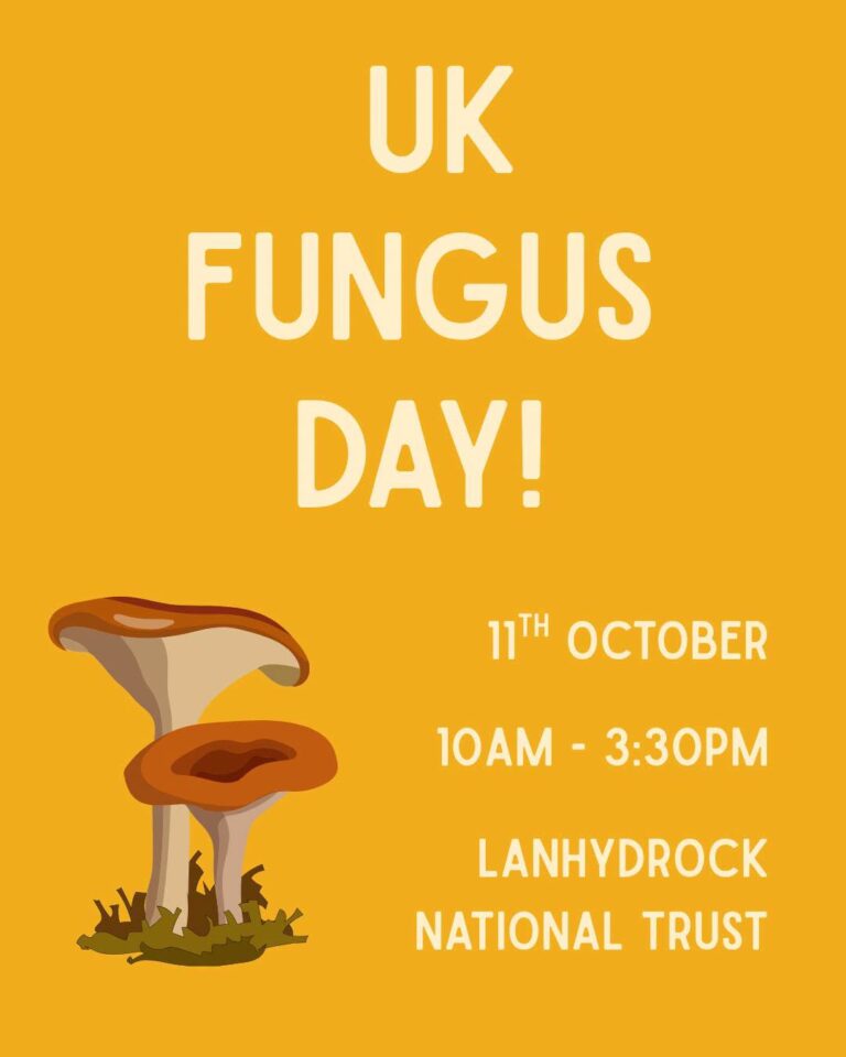 Fungus day at Lanhydrock
