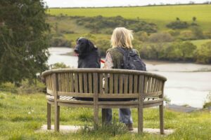 CSS Jago and Jo take in the views 300x200