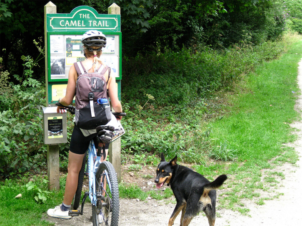 Camel Trail_dog