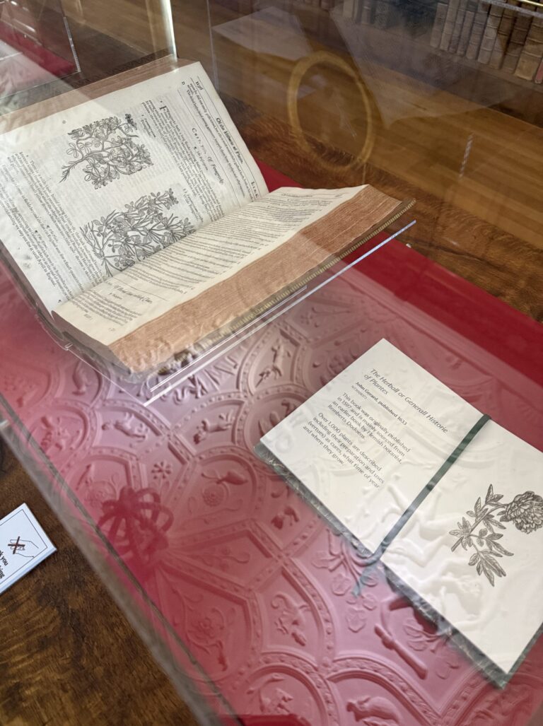 The Libraries of Lanhydrock