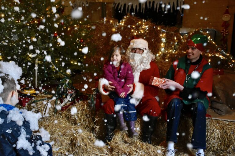 Father Christmas at Trelissick