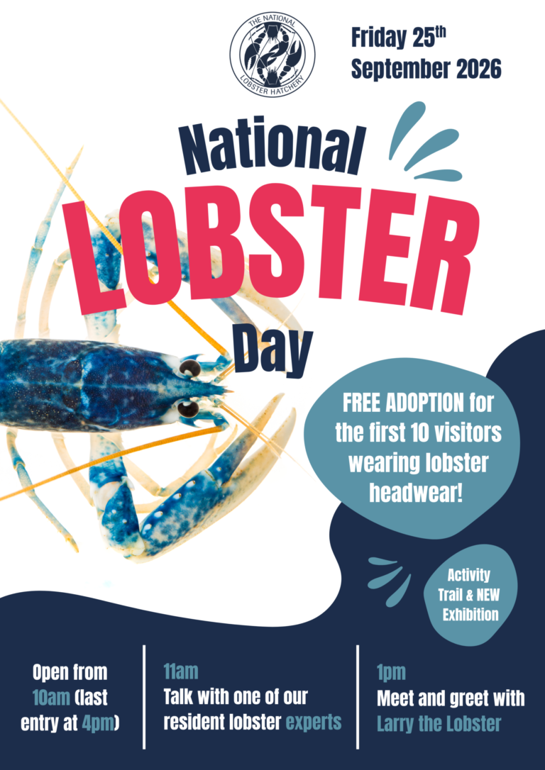 National Lobster Day poster