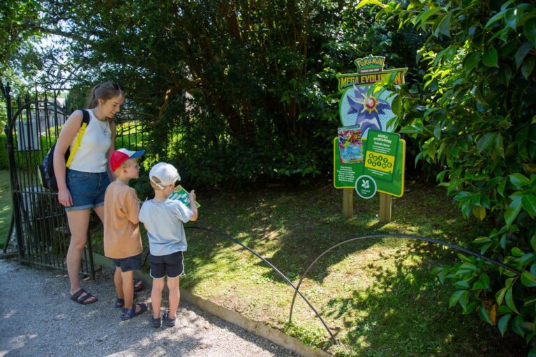 Pokemon Trail at Lanhydrock Pokemon Trail at Lanhydrock