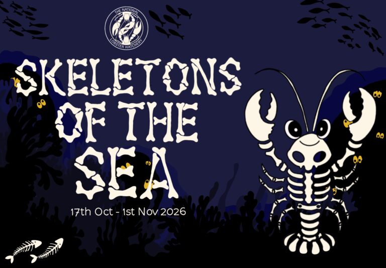 Skeletons of the Sea