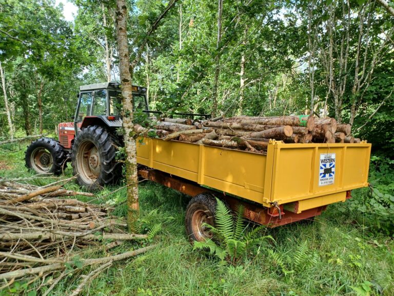 Woodland Management Lanhydrock National Trust Woodland Management Lanhydrock National Trust