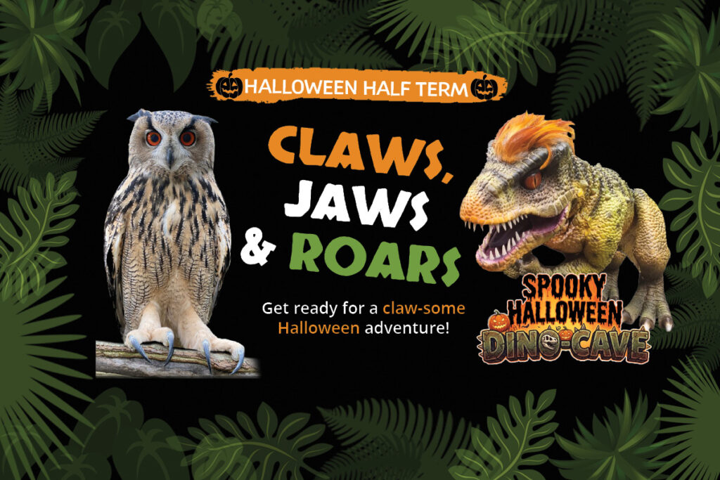 Halloween at Paradise Park