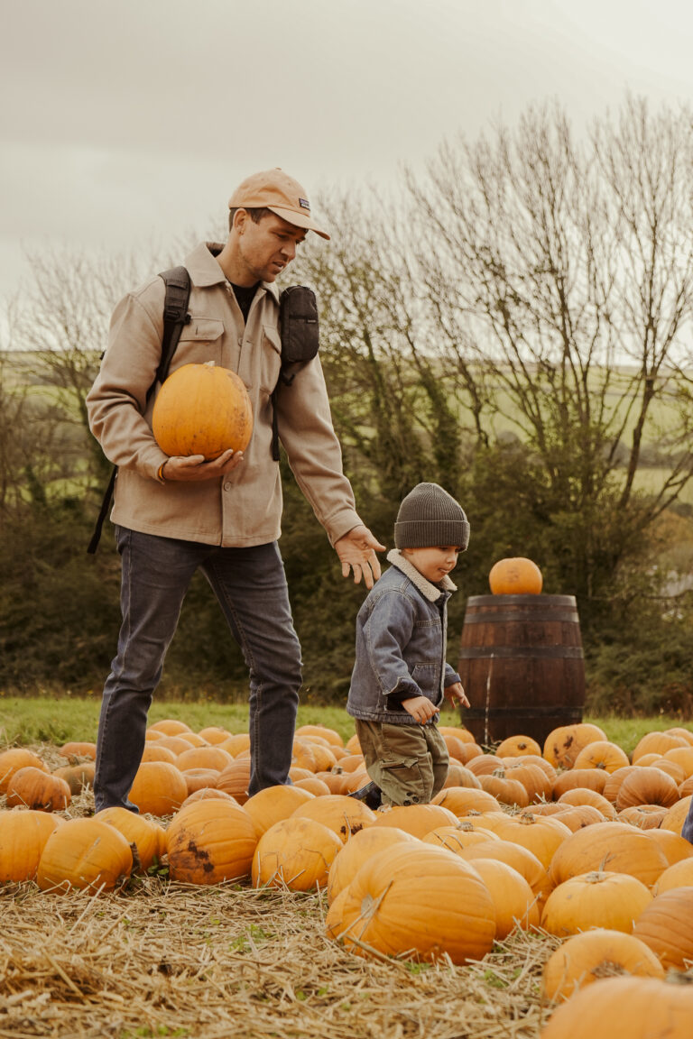Pumpkin trail at Healeys