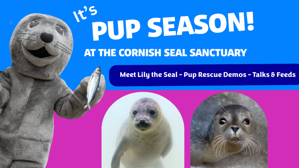 Pup season poster