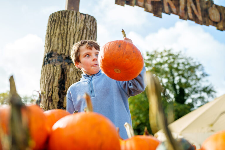 Halloween at Camel Creek